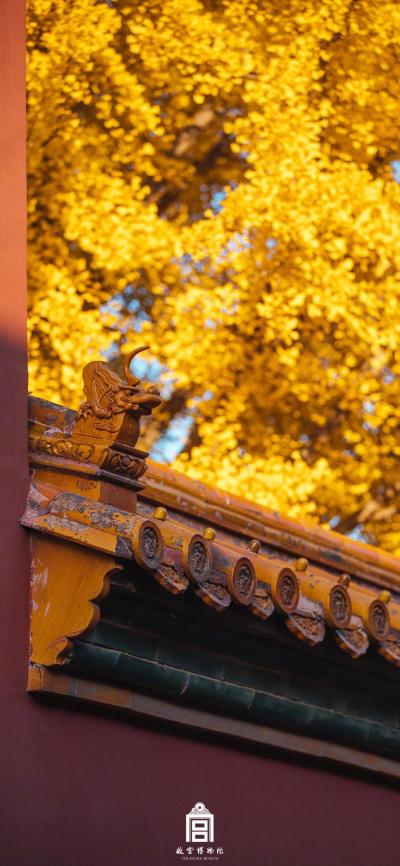 风景壁纸