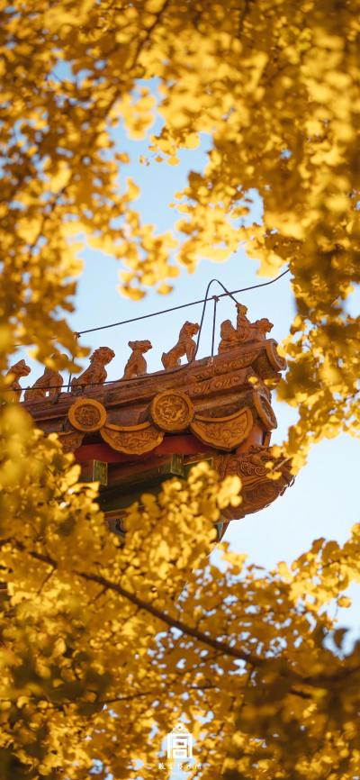 风景壁纸