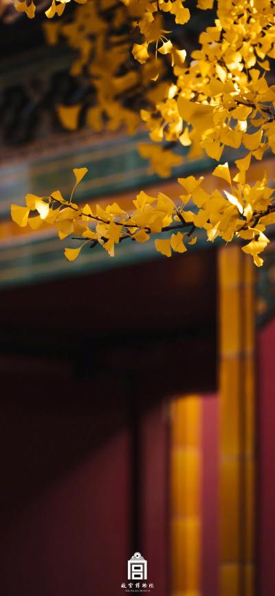 风景壁纸