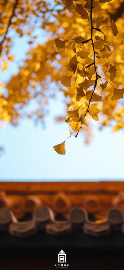 风景壁纸