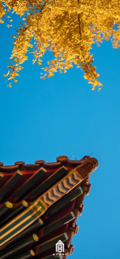 风景壁纸
