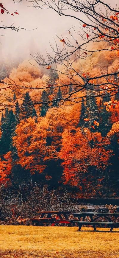 风景壁纸