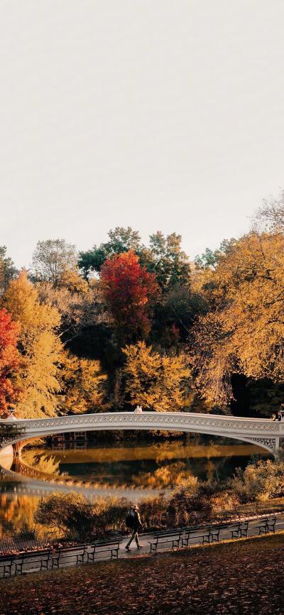 风景壁纸