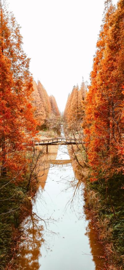风景壁纸