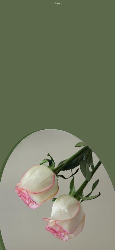 小清新壁纸