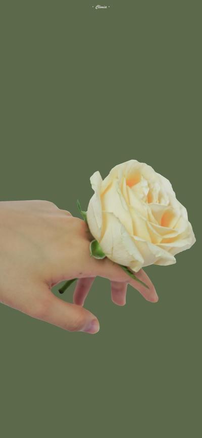 小清新壁纸
