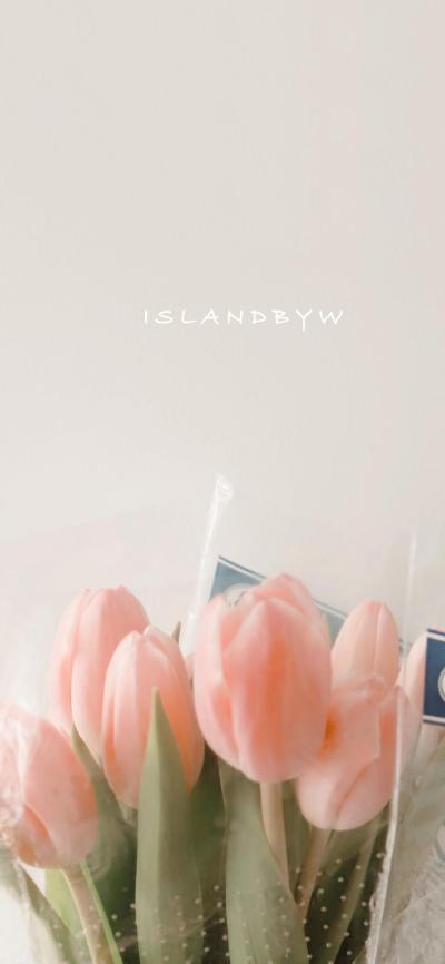 小清新壁纸