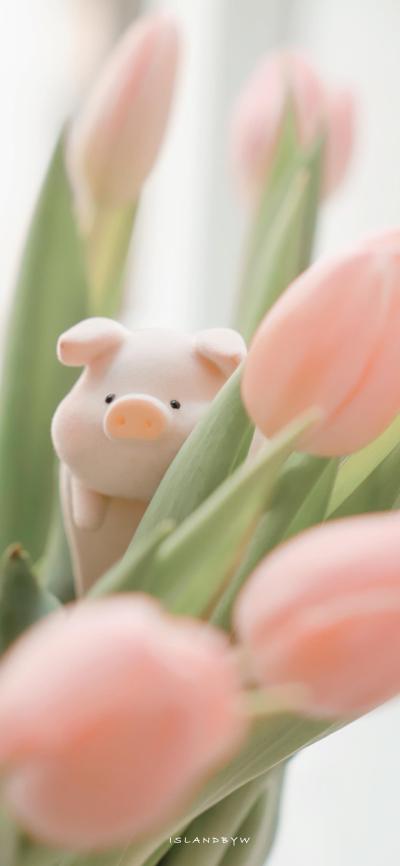 小清新壁纸