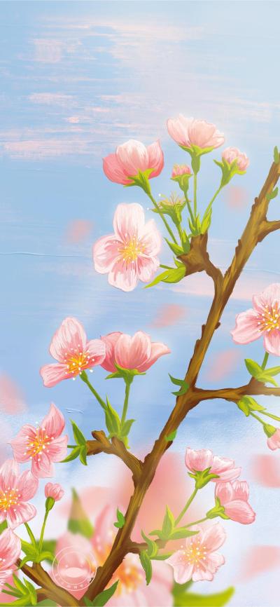 小清新壁纸