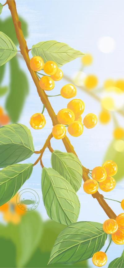 小清新壁纸