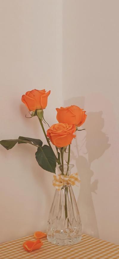 小清新壁纸