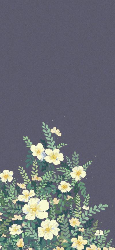 小清新壁纸