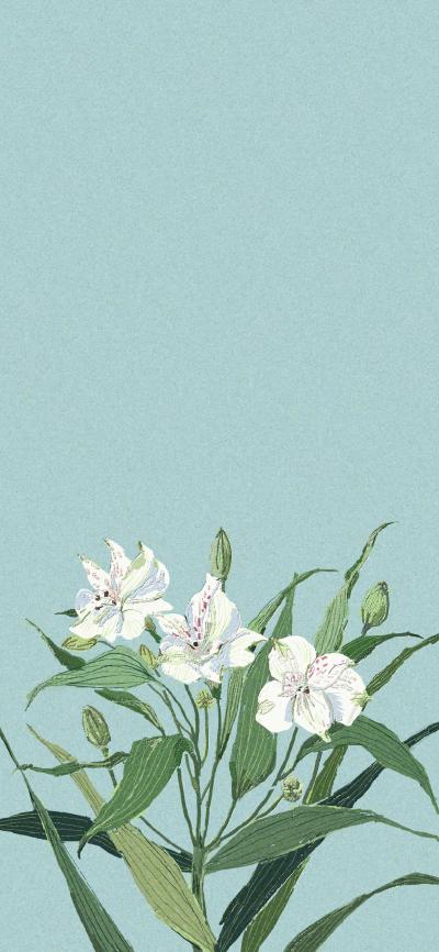 小清新壁纸