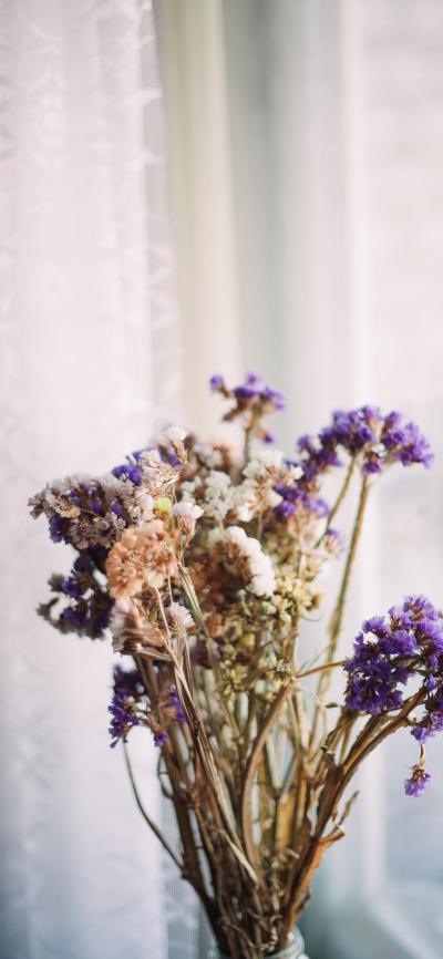 小清新壁纸