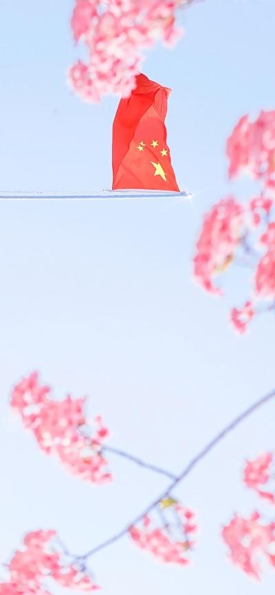 小清新壁纸