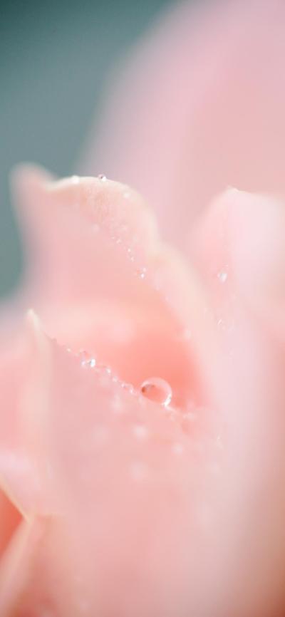 小清新壁纸
