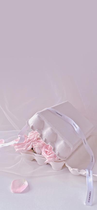 小清新壁纸