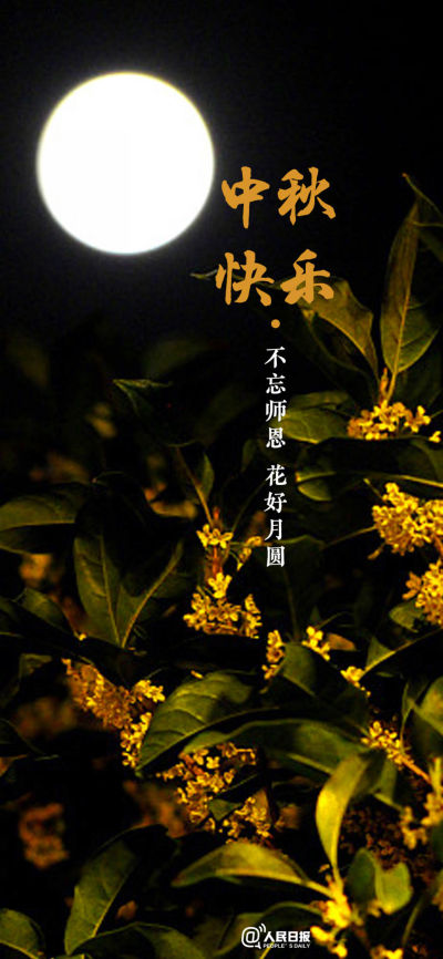 节日壁纸