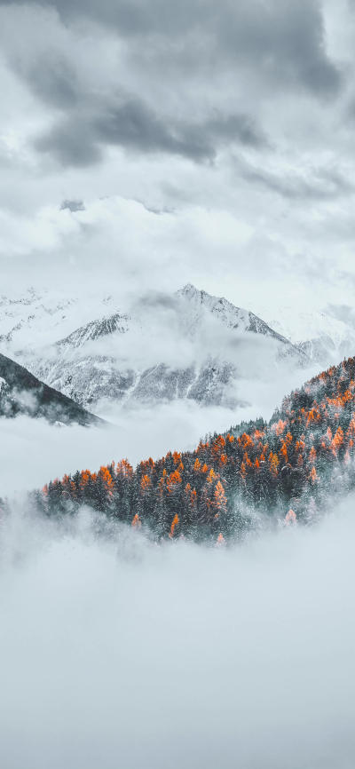 风景壁纸