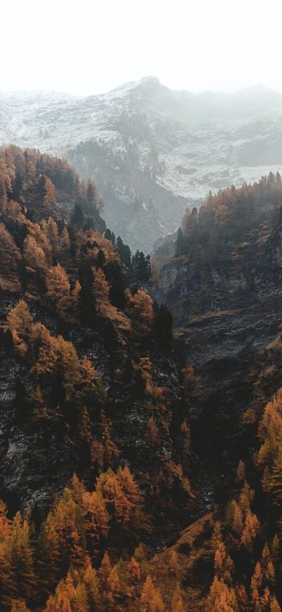 风景壁纸