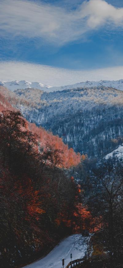 风景壁纸