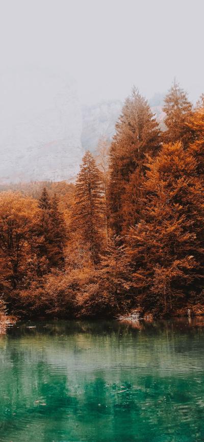 风景壁纸