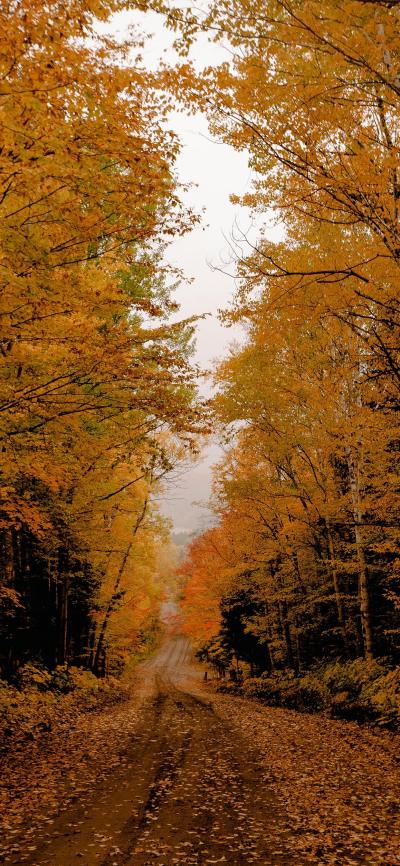 风景壁纸