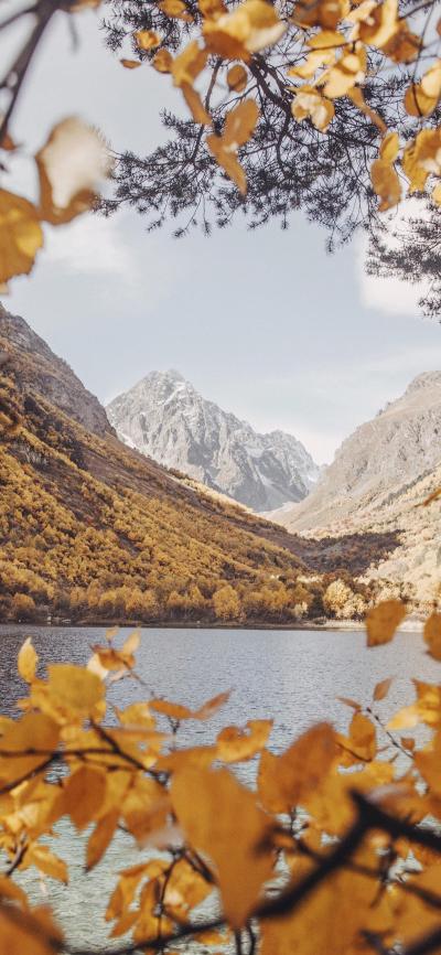 风景壁纸