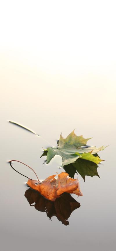 风景壁纸