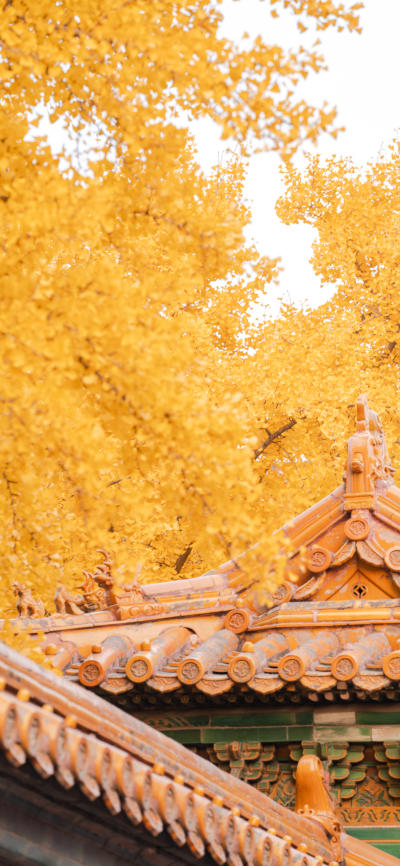 风景壁纸