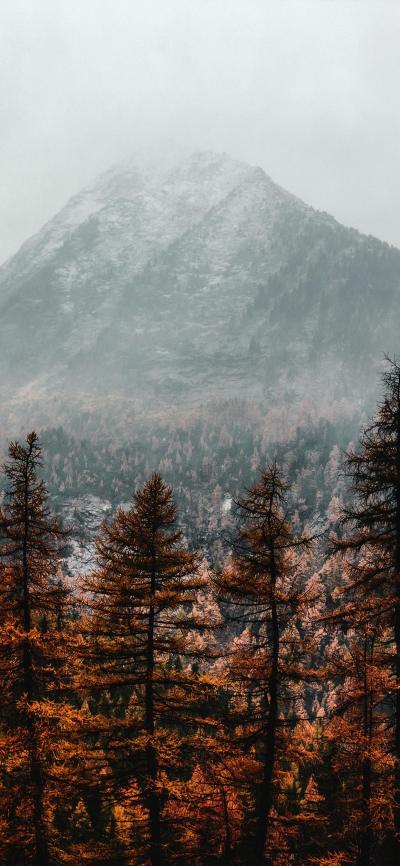 风景壁纸