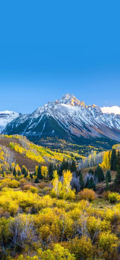 风景壁纸