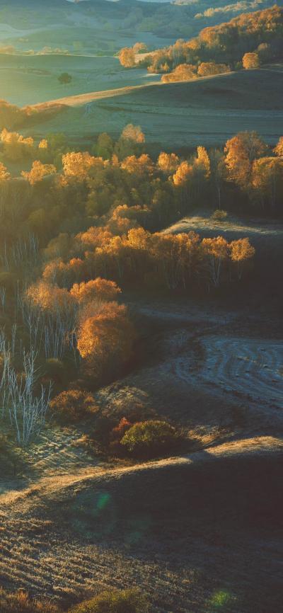 风景壁纸