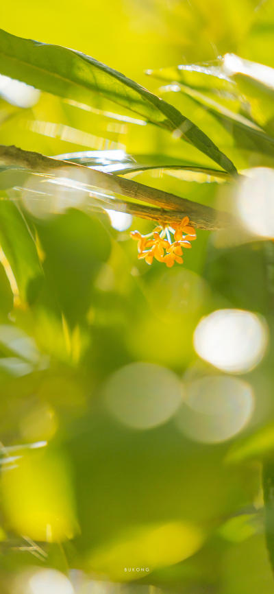 风景壁纸