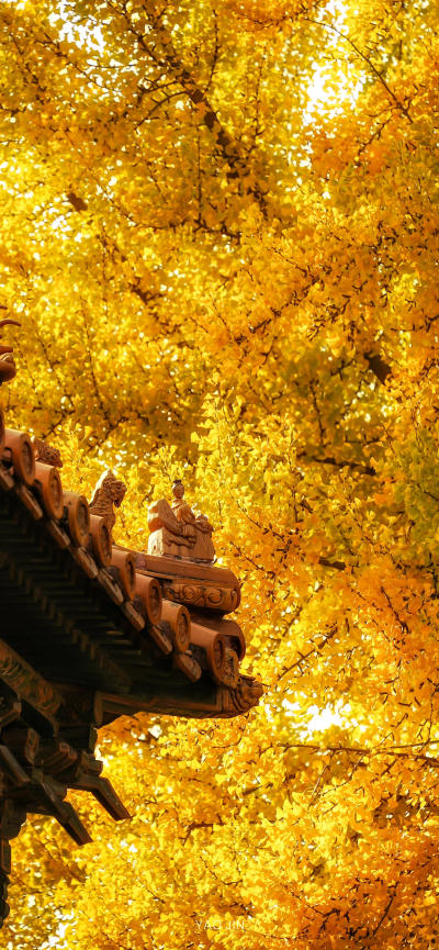 风景壁纸