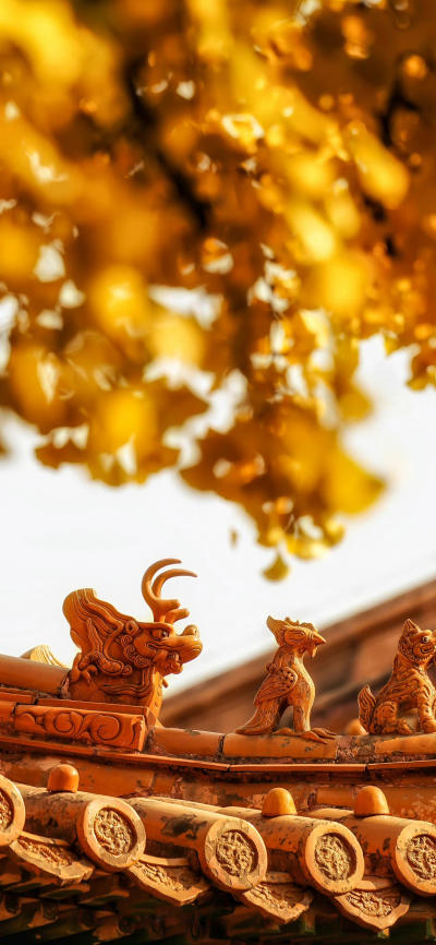 风景壁纸