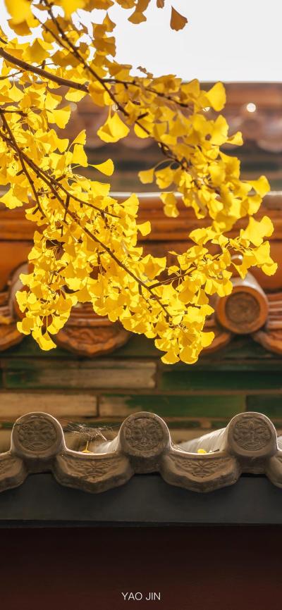 风景壁纸
