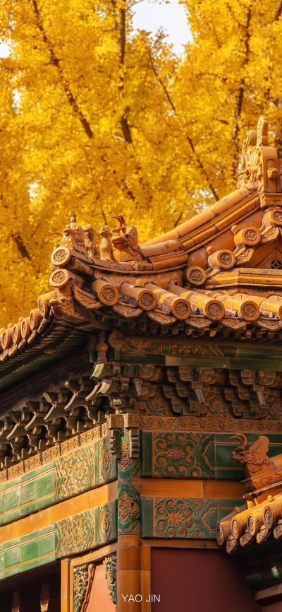 风景壁纸