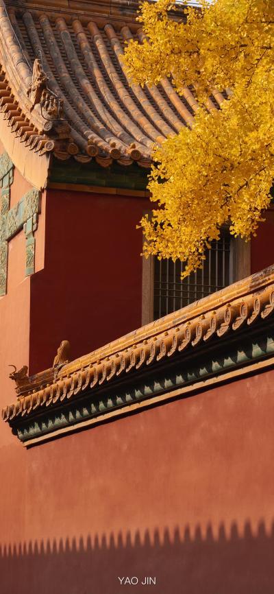 风景壁纸