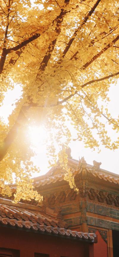 风景壁纸