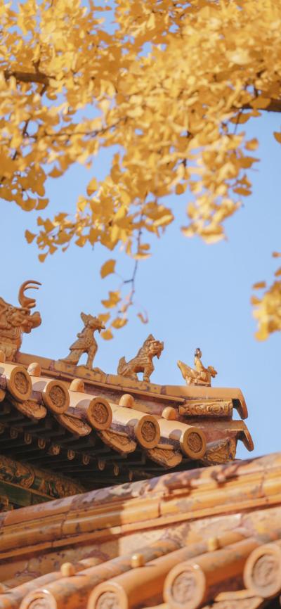 风景壁纸