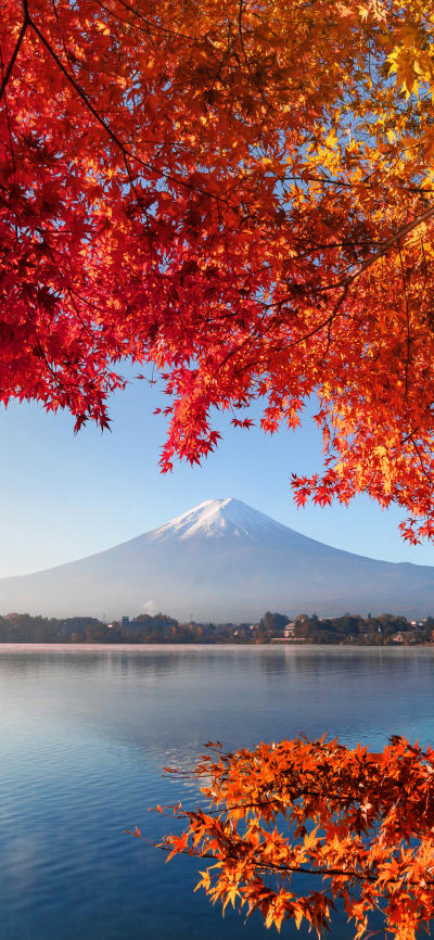 风景壁纸