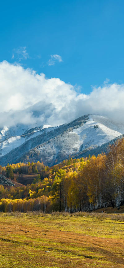 风景壁纸