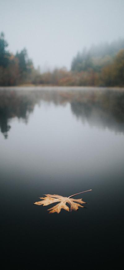 风景壁纸