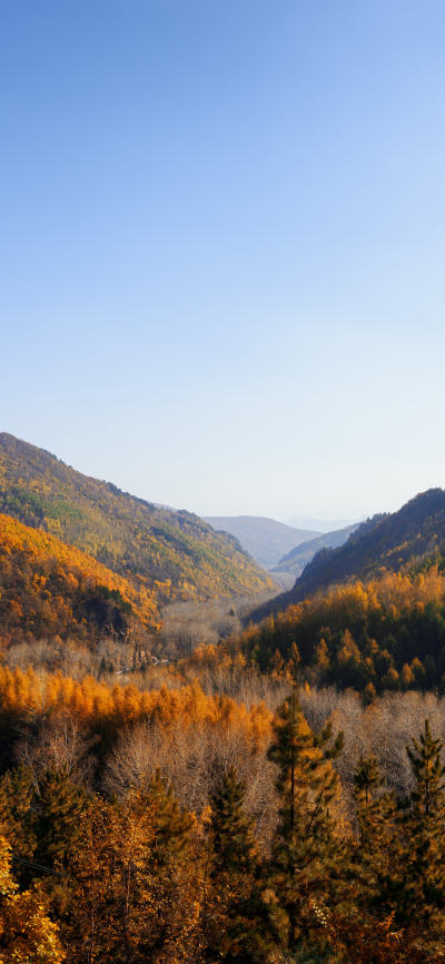 风景壁纸