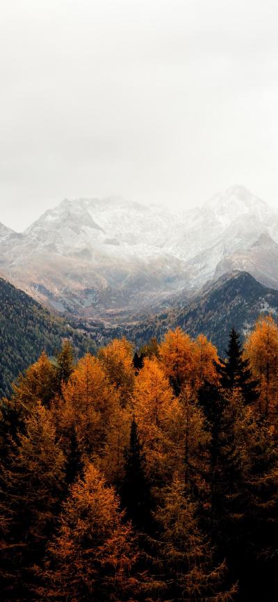 风景壁纸