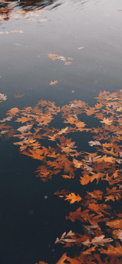 风景壁纸