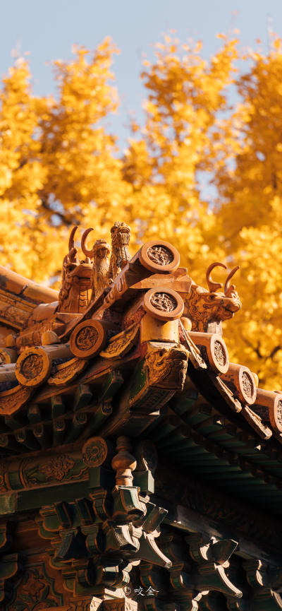 风景壁纸
