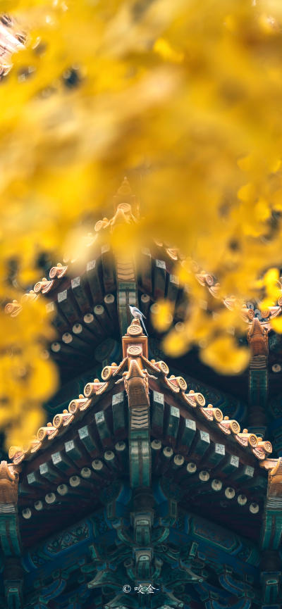 风景壁纸