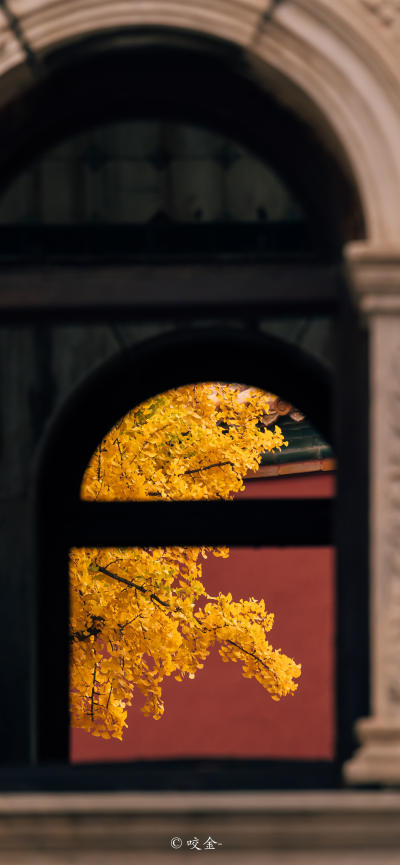 风景壁纸